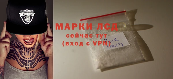 СК Белокуриха