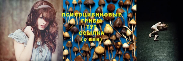 спайс Балабаново